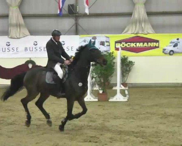 FEI Reitturnier Damme-Neuenwalde (GER) 2014