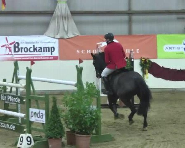 FEI Reitturnier Damme-Neuenwalde (GER) 2014