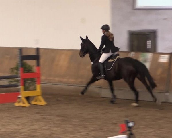 Hallenturnier RV Giebelwald e.V. 2014