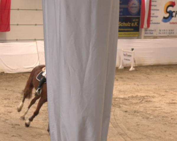 Reitturnier Borken 2026