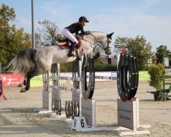 stallion Braveheart Jump (Oldenburg show jumper, 2013, from Balou du Rouet)