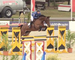 Springpferd Chelsea 99 (Hannoveraner, 2007, von Chico's Boy)