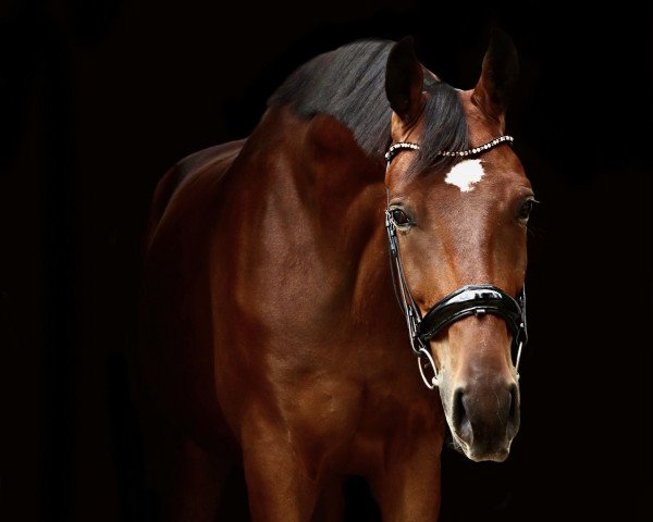 horse Forever in Love (Oldenburg, 2017, from Fürst Romancier)