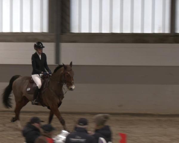 Reitturnier Luhmühlen 2026