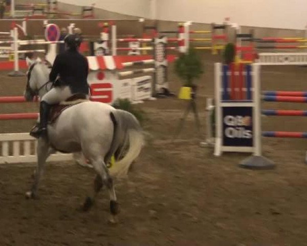 Hallenturnier RV Giebelwald e.V. 2014