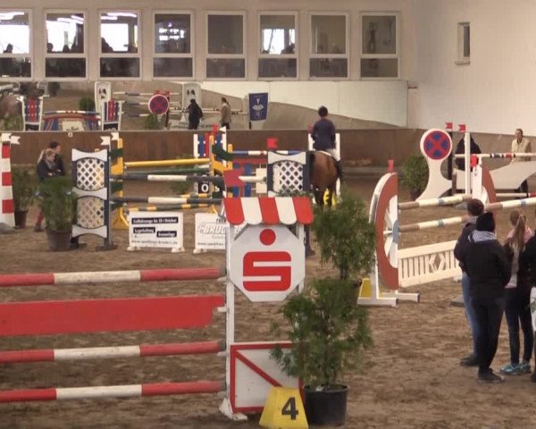 Hallenturnier RV Giebelwald e.V. 2014