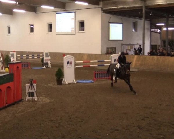 Hallenturnier RV Giebelwald e.V. 2014