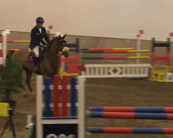 Hallenturnier RV Giebelwald e.V. 2014