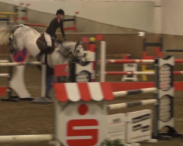 Hallenturnier RV Giebelwald e.V. 2014