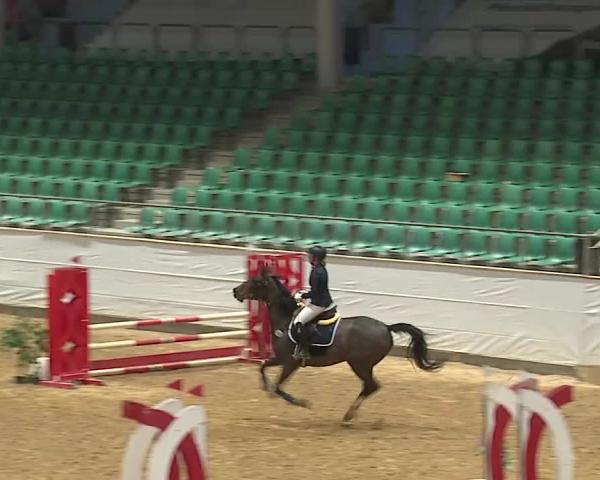 Turniej Jeździecki Kreuth/Opf. 2026