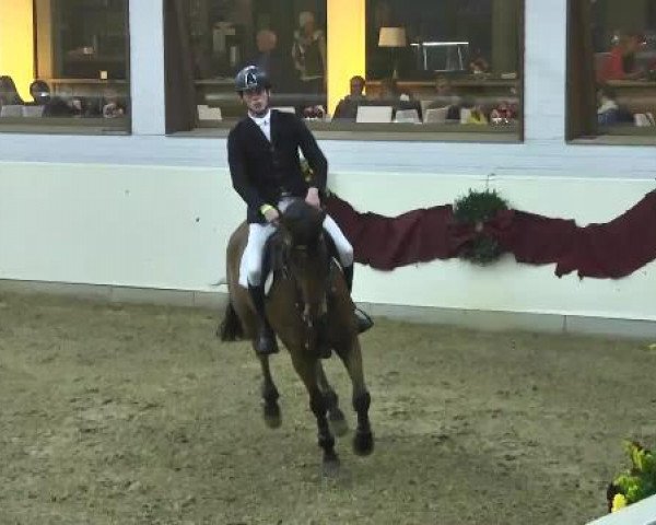 FEI Reitturnier Damme-Neuenwalde (GER) 2014