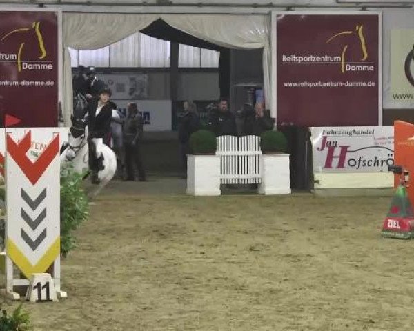 FEI Reitturnier Damme-Neuenwalde (GER) 2014