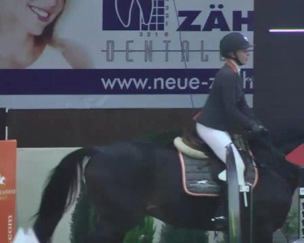 FEI Reitturnier Damme-Neuenwalde (GER) 2014