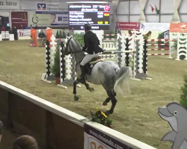 FEI Reitturnier Damme-Neuenwalde (GER) 2014