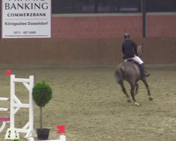 Junior-Open 2014