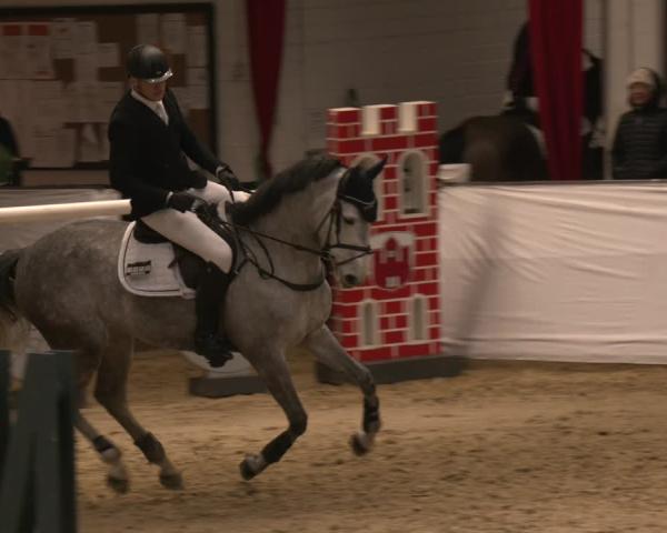 Torneo Equestre Borken 2026