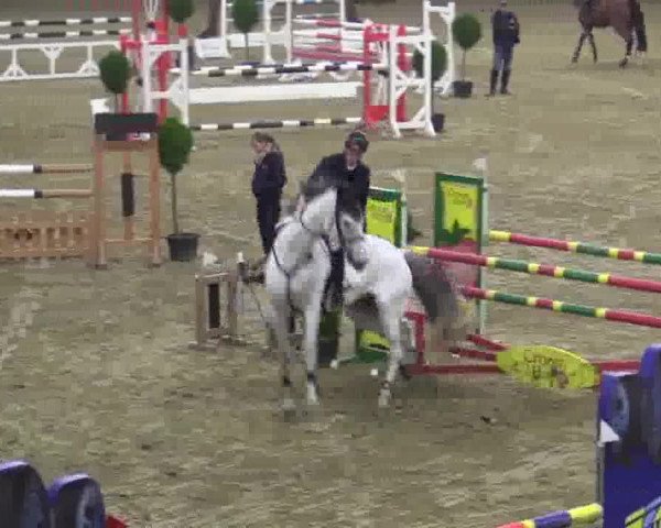 Junior-Open 2014