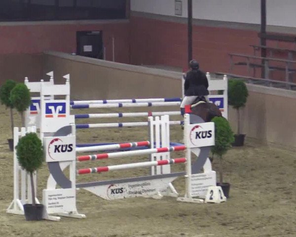 Junior-Open 2014