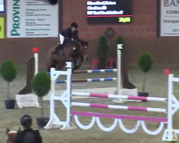 Junior-Open 2014