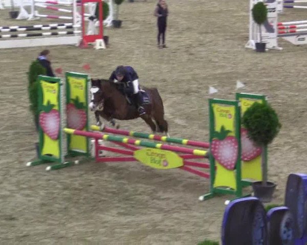 Junior-Open 2014
