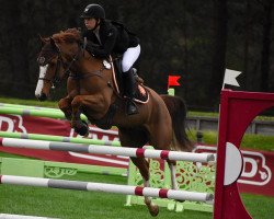 jumper Bonaparte du Thot (French Pony, 2011, from Machno Carwyn)
