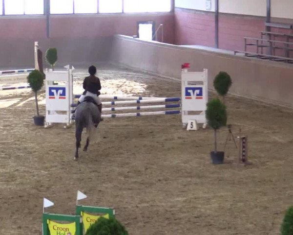 Junior-Open 2014