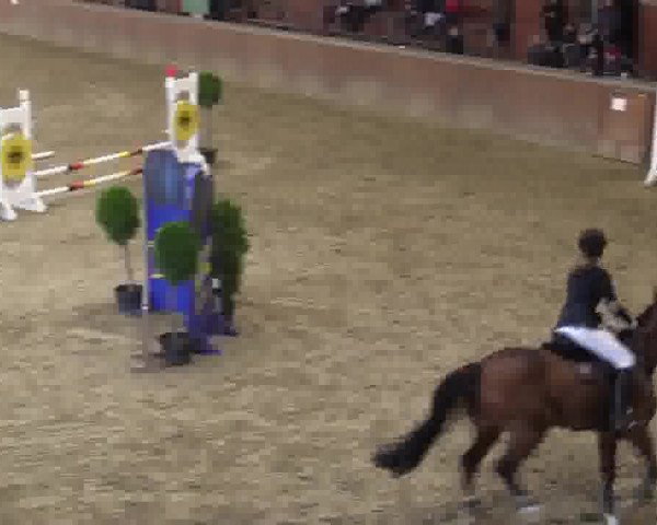 Junior-Open 2014