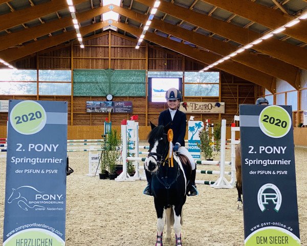 jumper Rock DJ (British Riding Pony, 1997)