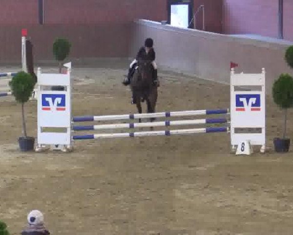 Junior-Open 2014