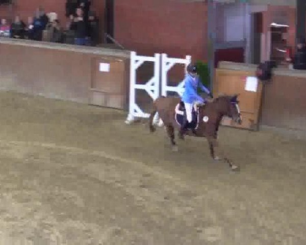 Junior-Open 2014