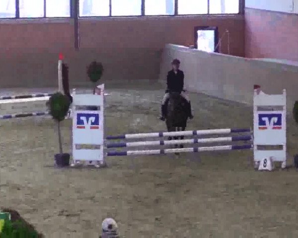 Junior-Open 2014