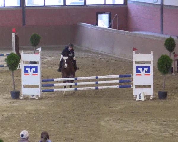 Junior-Open 2014