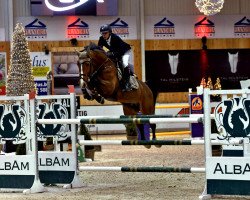 jumper Avalon du Seigneur (Belgian Warmblood, 2010, from Aganix du Seigneur)