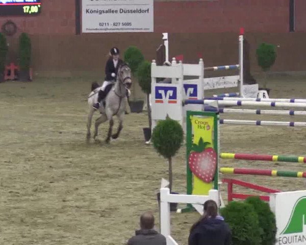 Junior-Open 2014