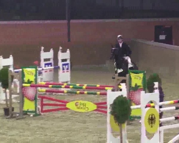 Junior-Open 2014