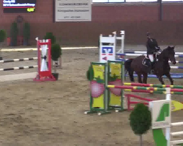 Junior-Open 2014