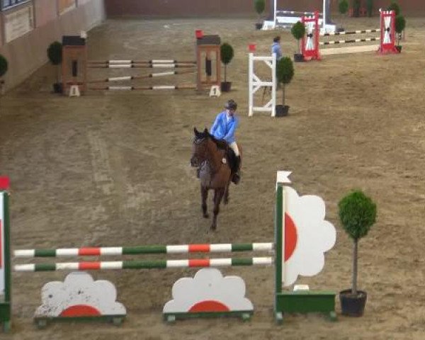 Junior-Open 2014