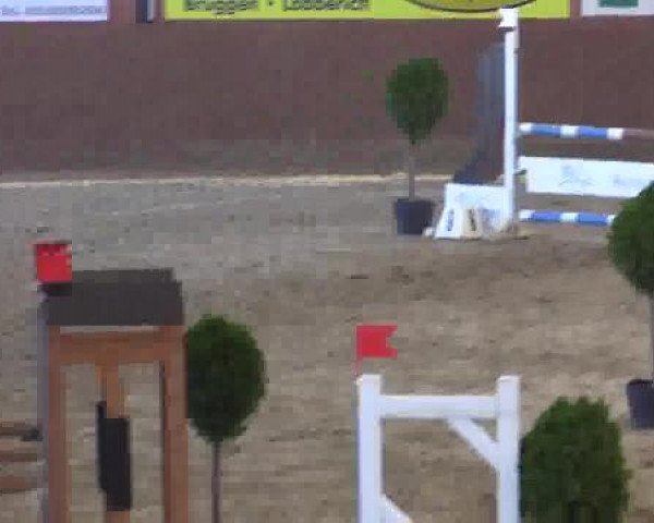 Junior-Open 2014