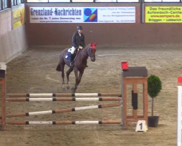 Junior-Open 2014