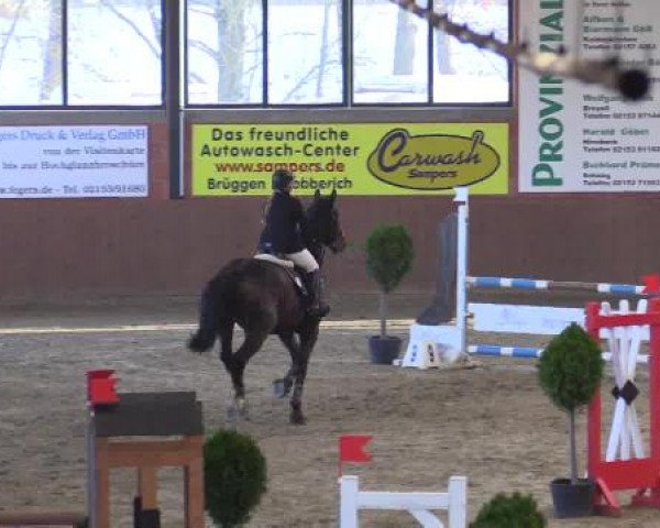 Junior-Open 2014