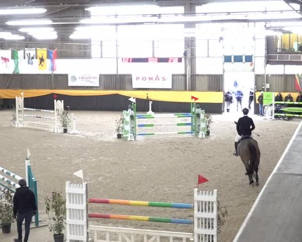 Equestrian Show Erlen 2026