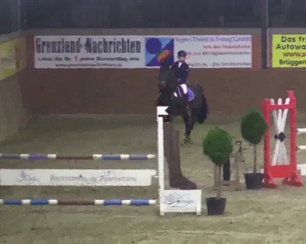Junior-Open 2014