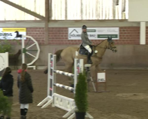 Equestrian Show Lembeck 2026