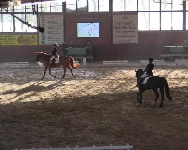Junior-Open 2014