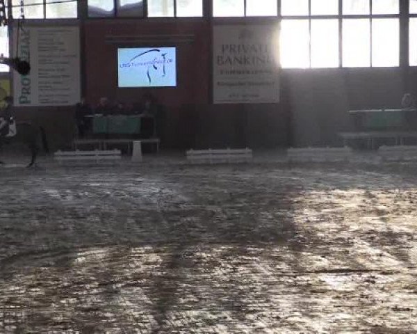 Junior-Open 2014
