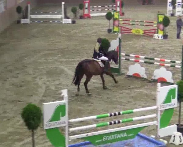 Junior-Open 2014