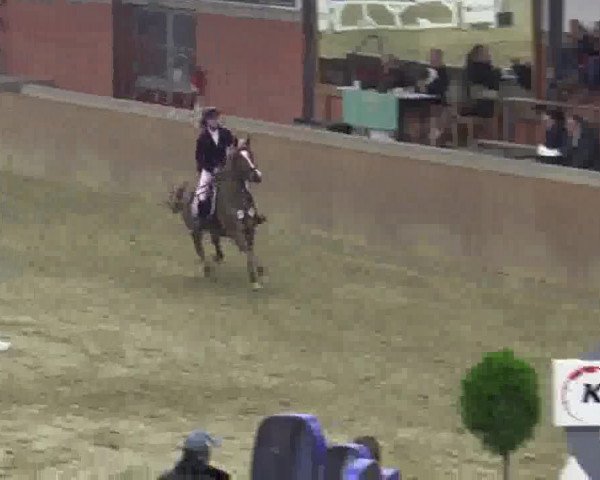 Junior-Open 2014