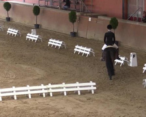 Junior-Open 2014