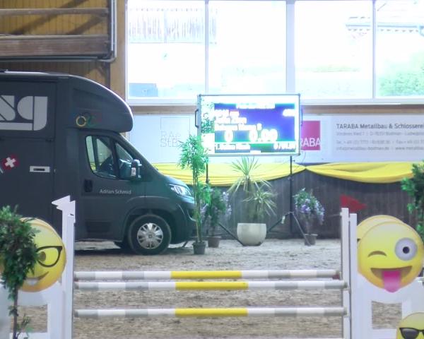 Reitturnier Sauldorf-Boll 2026