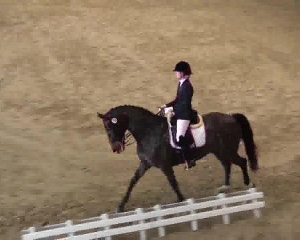 Junior-Open 2014